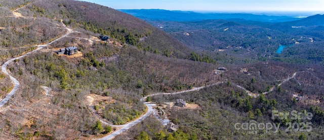 LOT19 W Whitetail Dr Unit 19, Sapphire, NC 28774