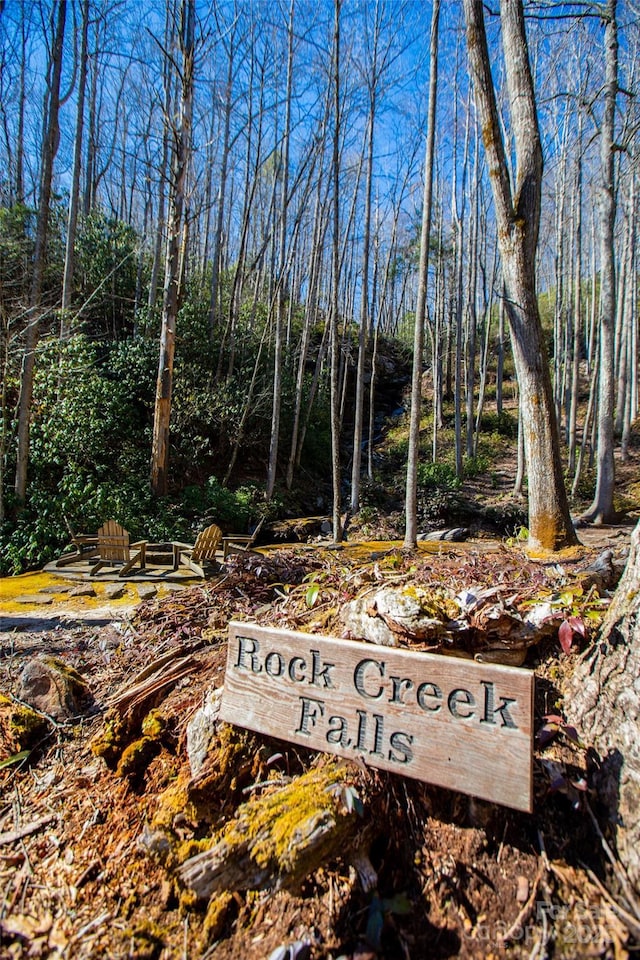 LOT19 W Whitetail Dr Unit 19, Sapphire, NC 28774