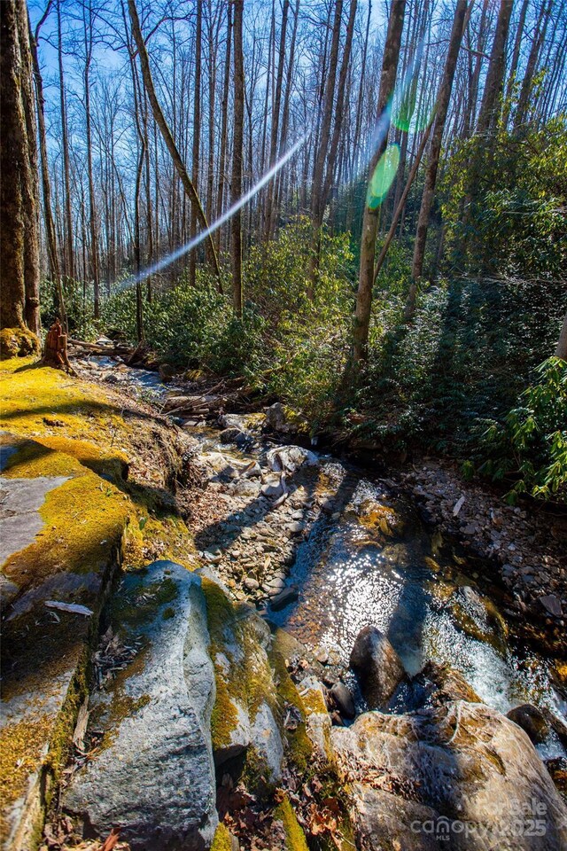 LOT19 W Whitetail Dr Unit 19, Sapphire, NC 28774