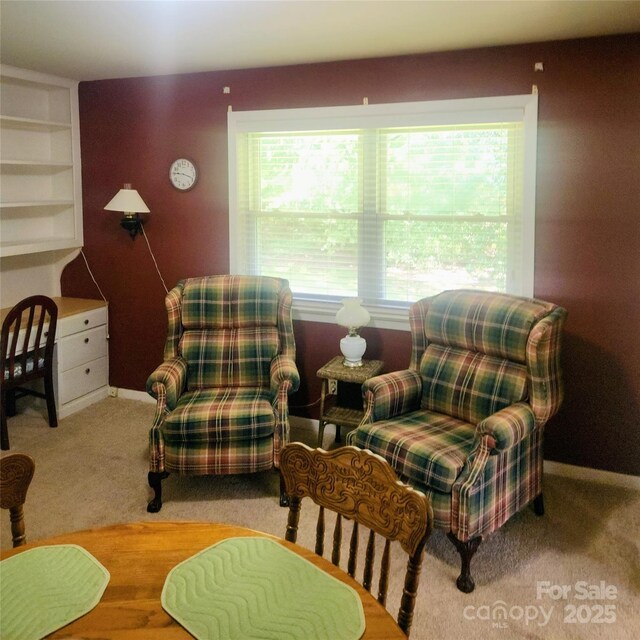 536 Catalina Dr, Albemarle, NC 28001 - photo 13