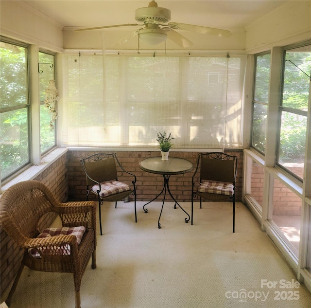 536 Catalina Dr, Albemarle, NC 28001 - photo 15