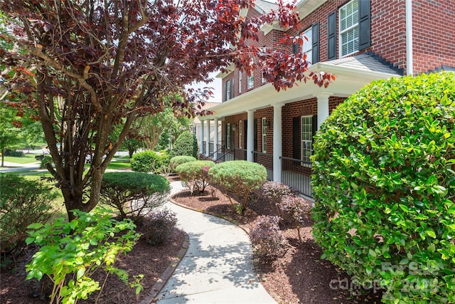 1009 Brookline Dr, Huntersville, NC 28078 - property entrance featuring brick siding and covered porch