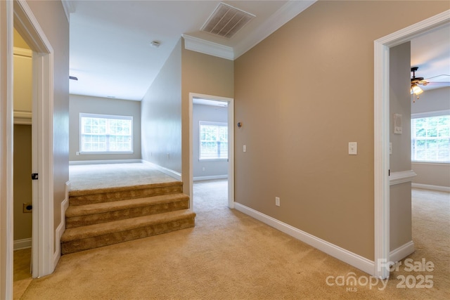 1009 Brookline Dr, Huntersville, NC 28078 - staircase featuring carpet floors, ceiling fan, and crown molding