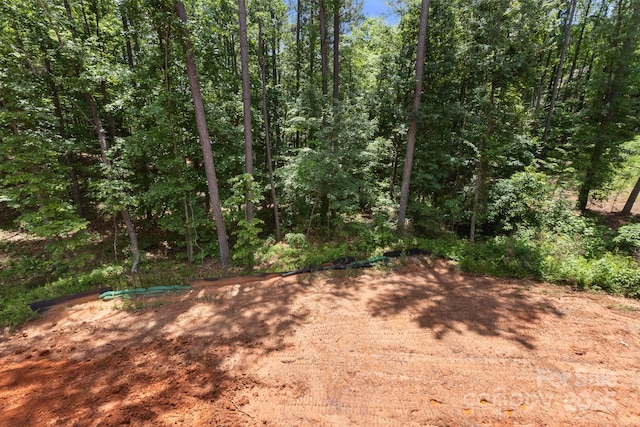 6782 Kingfisher Ct, Denver, NC 28037 - view of woods