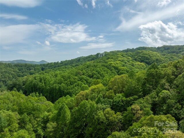 890 Panther Branch Rd, Hot Springs, NC 28743