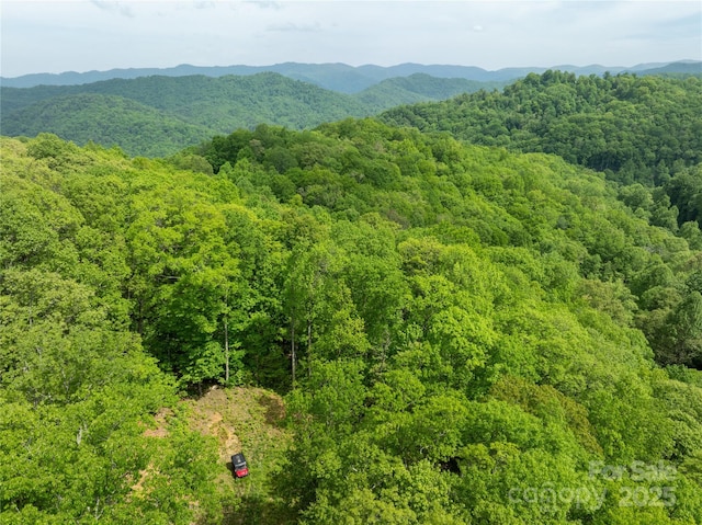890 Panther Branch Rd, Hot Springs, NC 28743