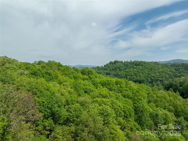 890 Panther Branch Rd, Hot Springs, NC 28743
