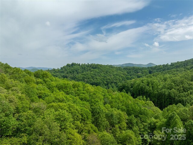 890 Panther Branch Rd, Hot Springs, NC 28743