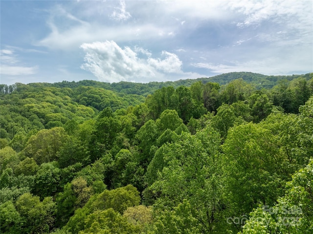 890 Panther Branch Rd, Hot Springs, NC 28743