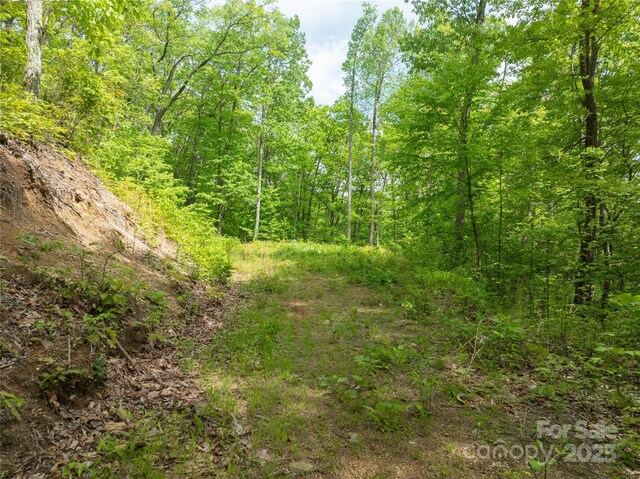 890 Panther Branch Rd, Hot Springs, NC 28743