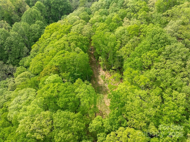890 Panther Branch Rd, Hot Springs, NC 28743