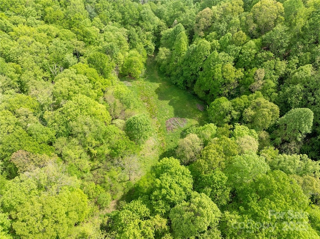 890 Panther Branch Rd, Hot Springs, NC 28743