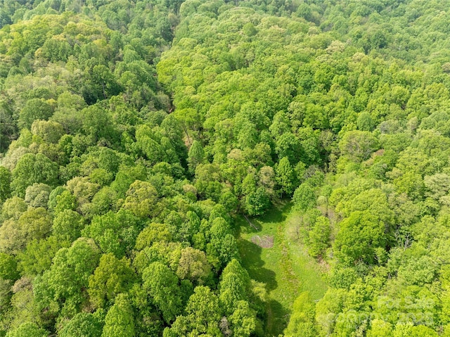 890 Panther Branch Rd, Hot Springs, NC 28743
