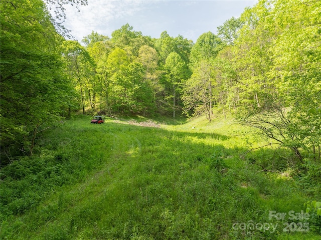 890 Panther Branch Rd, Hot Springs, NC 28743