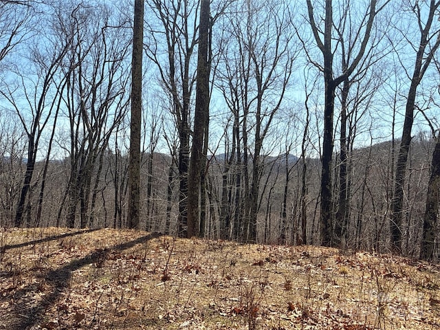 890 Panther Branch Rd, Hot Springs, NC 28743