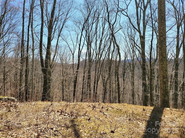 890 Panther Branch Rd, Hot Springs, NC 28743