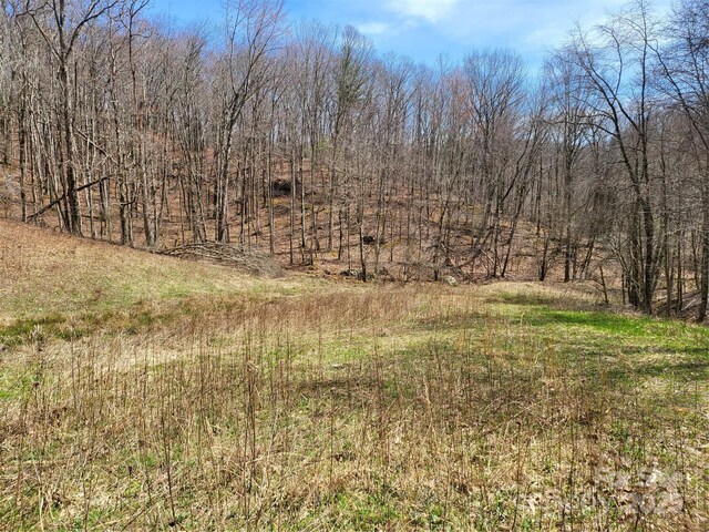 890 Panther Branch Rd, Hot Springs, NC 28743