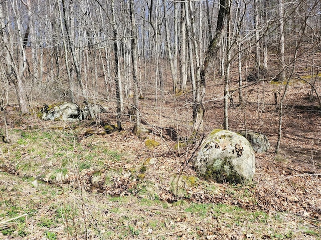 890 Panther Branch Rd, Hot Springs, NC 28743