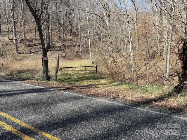 890 Panther Branch Rd, Hot Springs, NC 28743