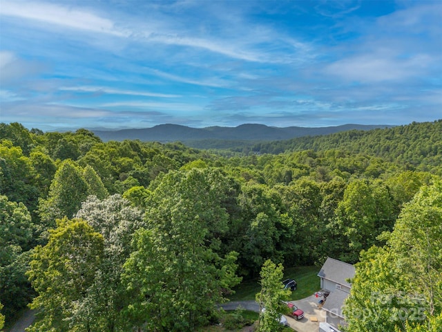 2 Candlestick Dr, Zirconia, NC 28790 - view of mountain background featuring a heavily wooded area