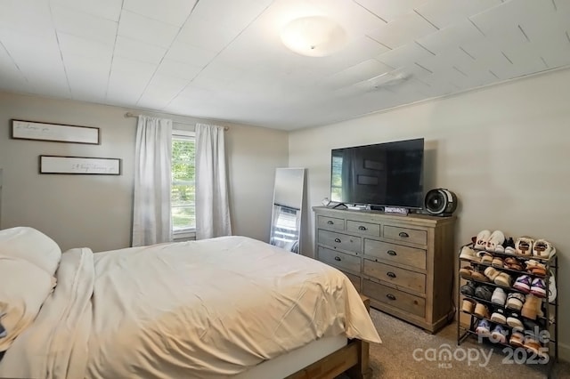 2903 Price Rushing Rd, Monroe, NC 28110 - bedroom with dark colored carpet