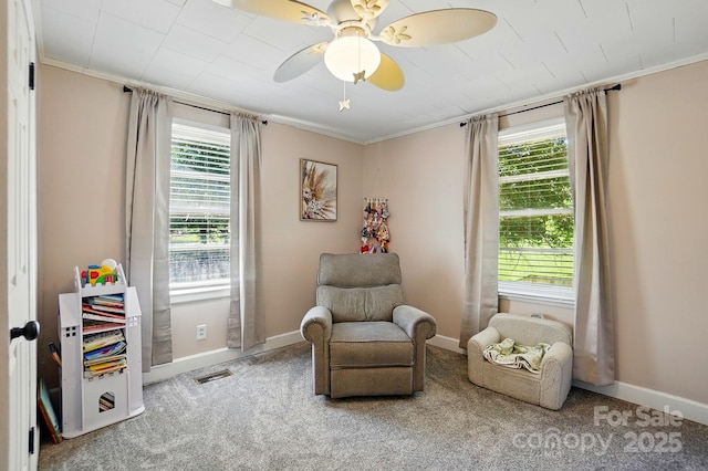 2903 Price Rushing Rd, Monroe, NC 28110 - living area featuring ornamental molding, carpet, plenty of natural light, and baseboards