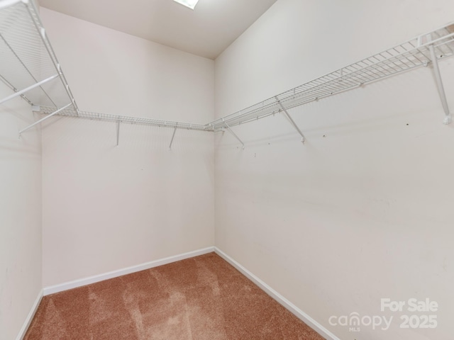 15001 Rosemary Way Dr, Huntersville, NC 28078 - photo 19