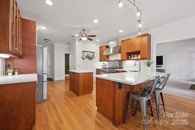 12900 Westmoreland Rd, Huntersville, NC 28078 - kitchen featuring wall chimney exhaust hood, a sink, stainless steel appliances, ornamental molding, and a peninsula