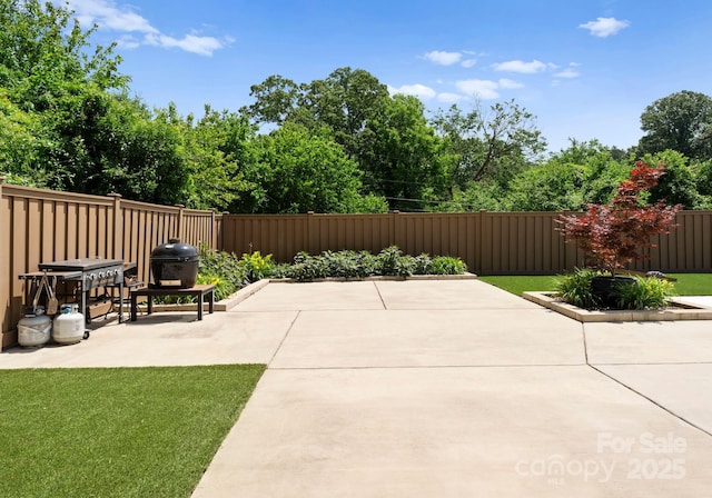 4021 Redwood Ave, Charlotte, NC 28205 - view of patio
