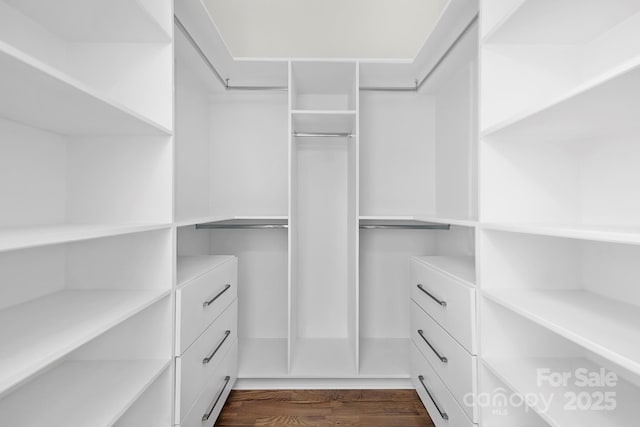 2414 E 7th St, Charlotte, NC 28204 - photo 32
