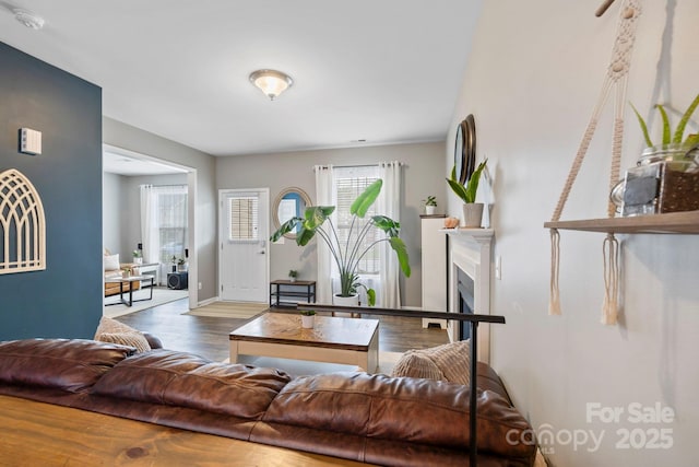 20 Daphne Dr, Arden, NC 28704 - living room featuring wood finished floors, a fireplace, and baseboards
