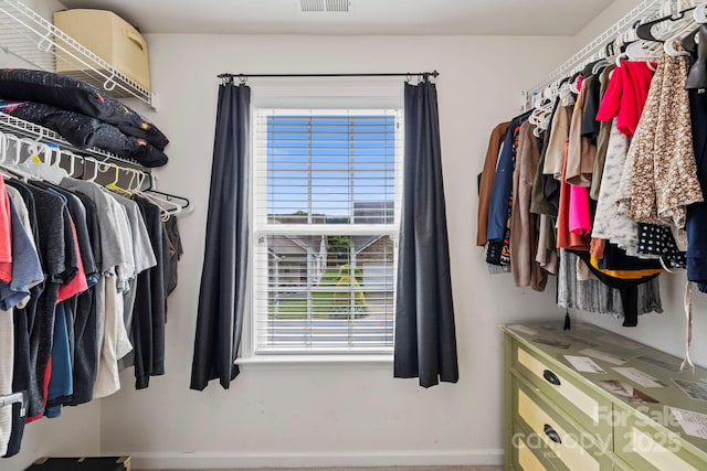 20 Daphne Dr, Arden, NC 28704 - view of walk in closet