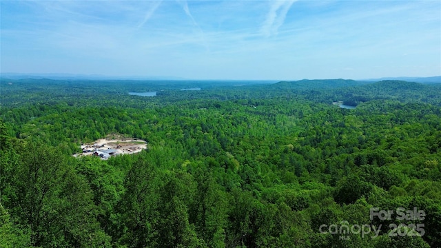 658 Green Point Ln, Boomer, NC 28606 - aerial view of a heavily wooded area