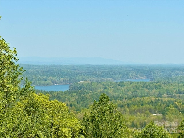 658 Green Point Ln, Boomer, NC 28606 - view of mountain backdrop with a heavily wooded area and a large body of water