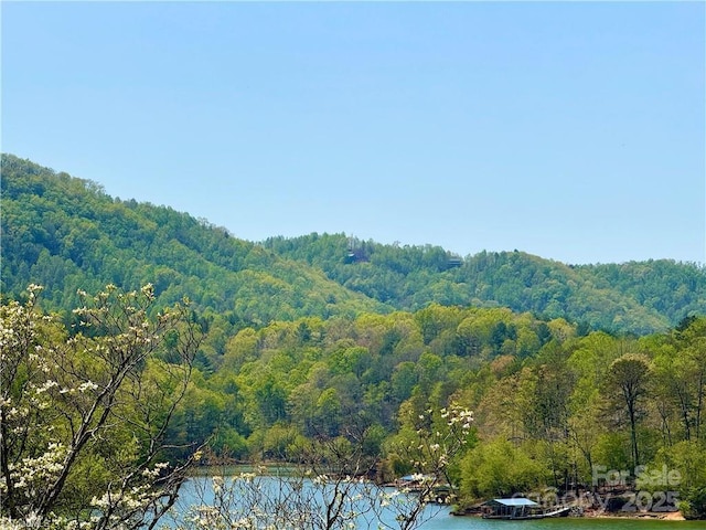 658 Green Point Ln, Boomer, NC 28606 - water view featuring a heavily wooded area