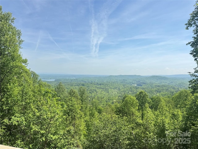 658 Green Point Ln, Boomer, NC 28606 - view of mountain backdrop with a forest