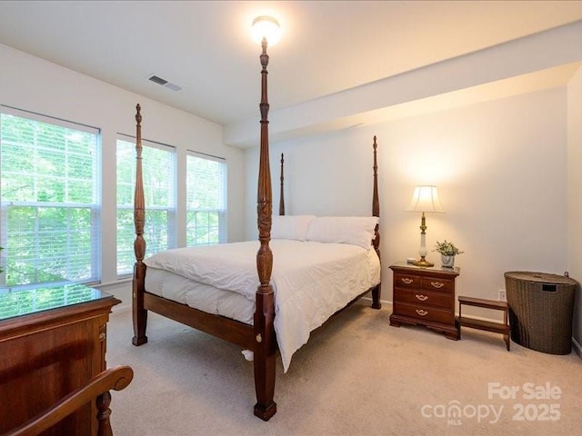 11530 Costigan Ln, Charlotte, NC 28277 - photo 13