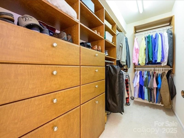 11530 Costigan Ln, Charlotte, NC 28277 - photo 17