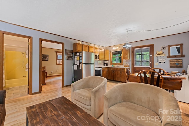 37 Sassafras Ln, Maggie Valley, NC 28751 - living room featuring crown molding, light wood finished floors, and a baseboard radiator