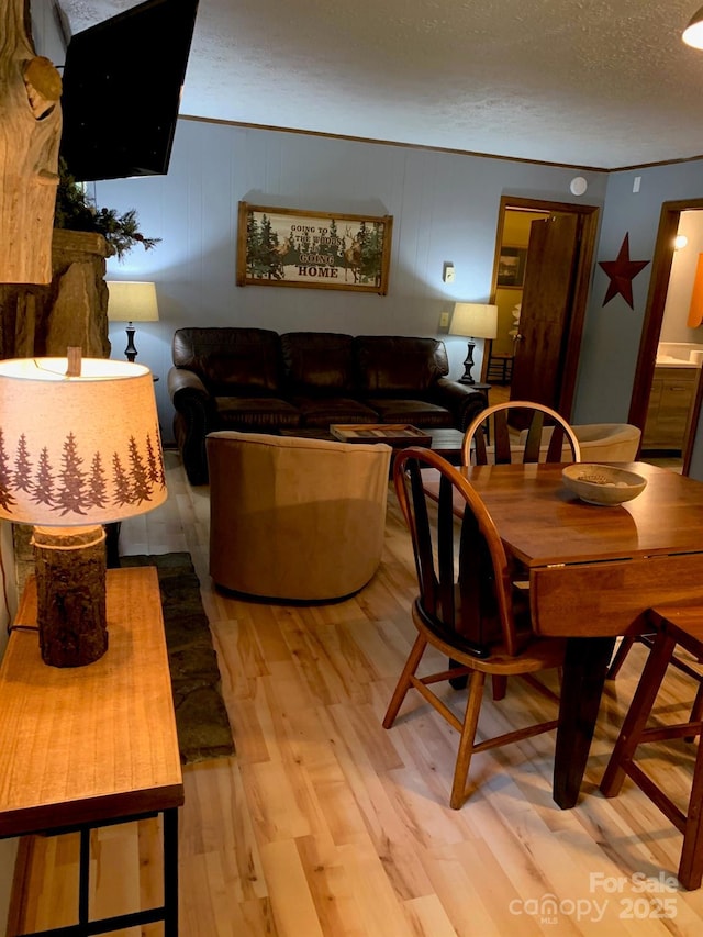 37 Sassafras Ln, Maggie Valley, NC 28751 - living room featuring wood finished floors and a textured ceiling