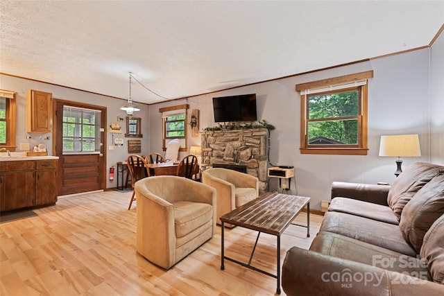 37 Sassafras Ln, Maggie Valley, NC 28751 - living room with light wood finished floors, ornamental molding, and a fireplace
