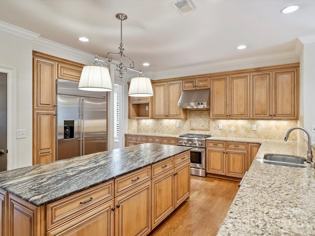 1522 High St, Charlotte, NC 28211 - kitchen with premium appliances, a sink, under cabinet range hood, light wood finished floors, and dark stone counters