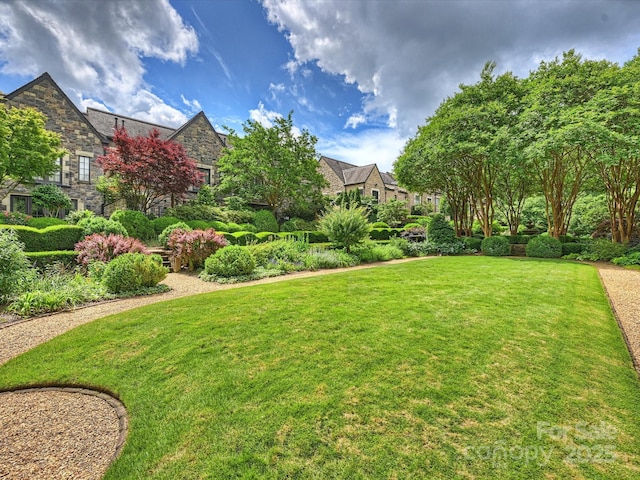 1522 High St, Charlotte, NC 28211 - view of green lawn