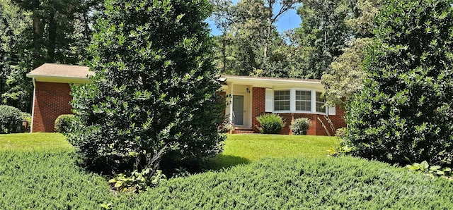 39 Ferncliff Dr, Asheville, NC 28805 - photo 4