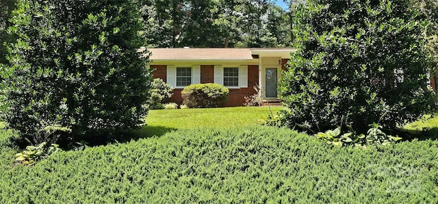 39 Ferncliff Dr, Asheville, NC 28805 - photo 5