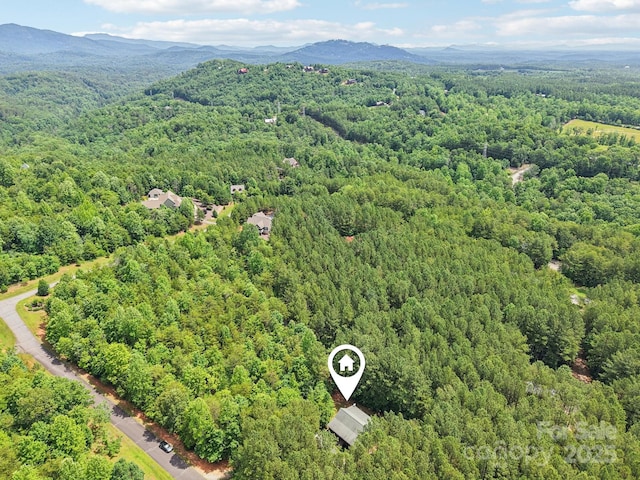 145 Jobes Trl, Mill Spring, NC 28756 - bird's eye view of a forest and a mountainous background