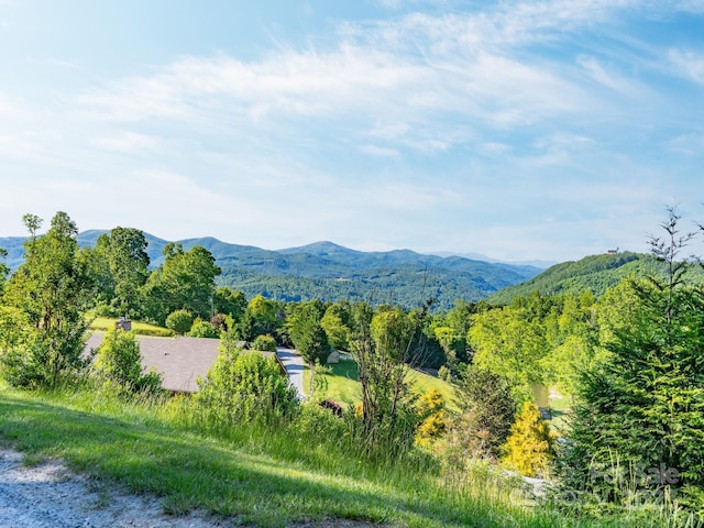LOT4 Mitchell View Dr, Hendersonville, NC 28792 - photo 1