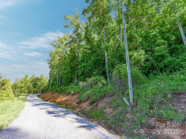 LOT4 Mitchell View Dr, Hendersonville, NC 28792 - photo 2