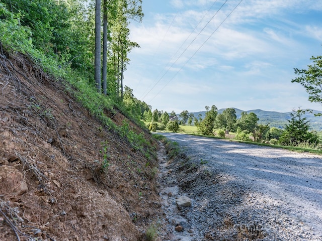LOT4 Mitchell View Dr, Hendersonville, NC 28792 - photo 3