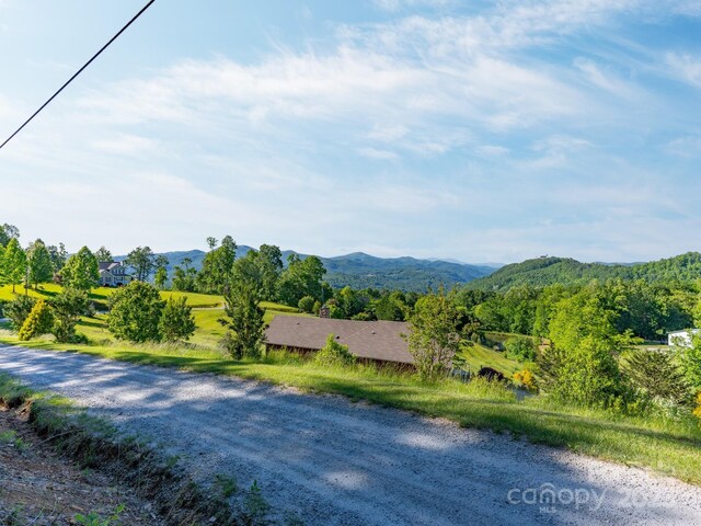 LOT4 Mitchell View Dr, Hendersonville, NC 28792 - photo 4